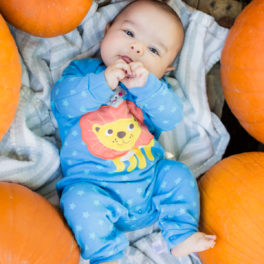 Top 5 Tips for taking Fall Pumpkin Patch Photos