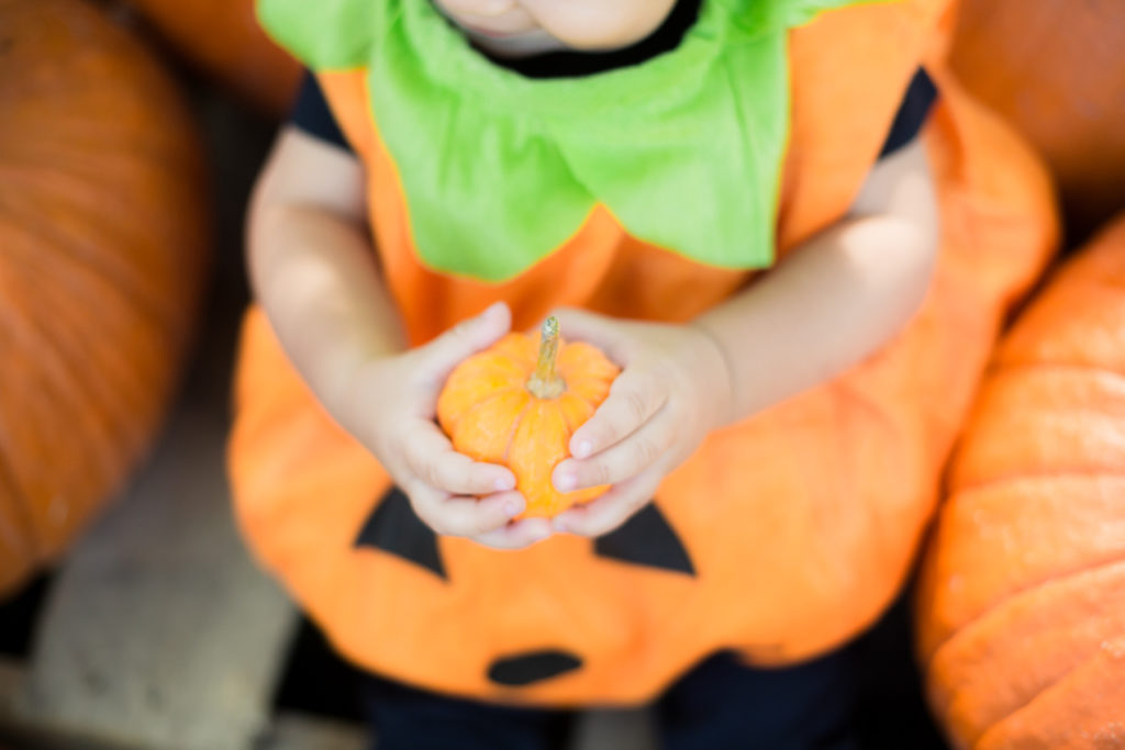 How to take Fall Pumpkin Patch Photos of your Kids