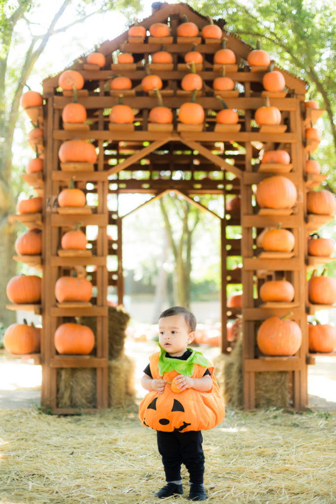 How to take Fall Pumpkin Patch Photos of your Kids