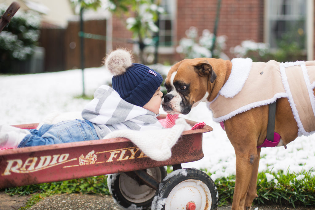 Holiday Photo Ideas of Baby's First Christmas