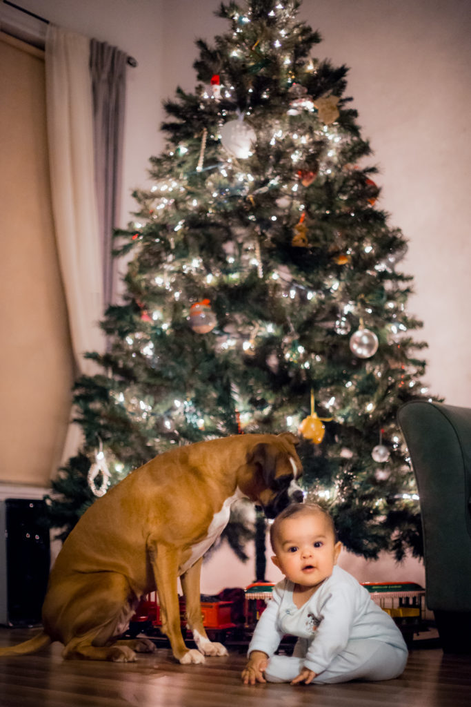 Holiday Photo Ideas of Baby's First Christmas