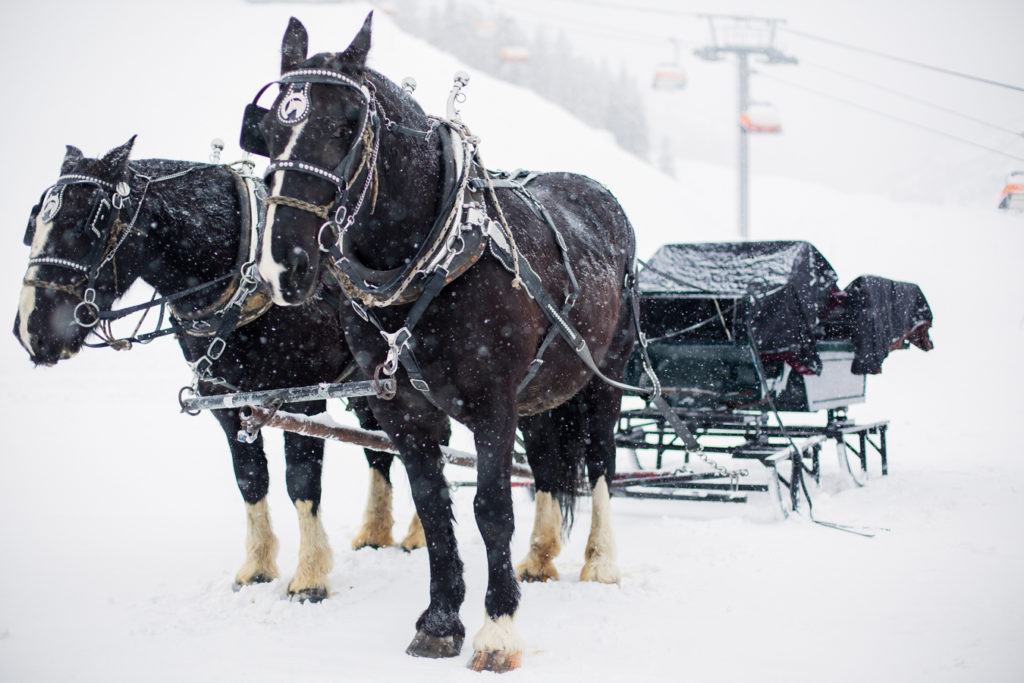 Park City, Utah Ski Family trip with a toddler in the snow at the Sundial Lodge