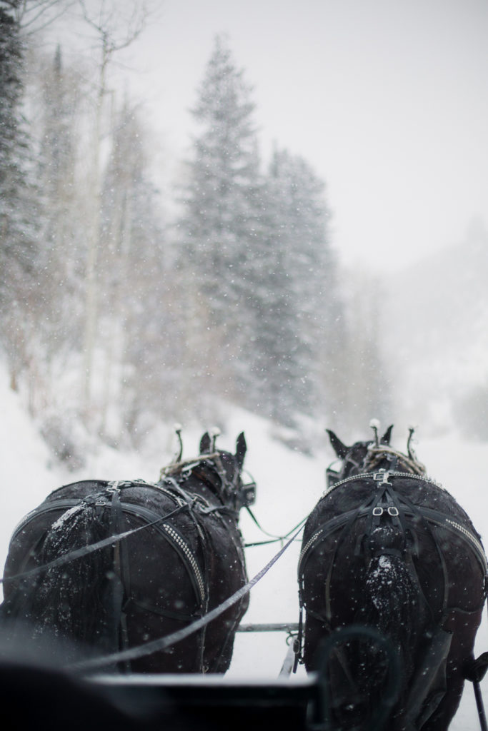 Park City, Utah Ski Family trip with a toddler in the snow at the Sundial Lodge