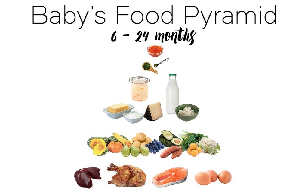 What to Feed your 6 Month Old - A complete plan
