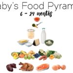 What to Feed your 6 Month Old - A complete plan