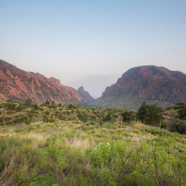 Things to do on a Family Trip to Big Bend with a Toddler