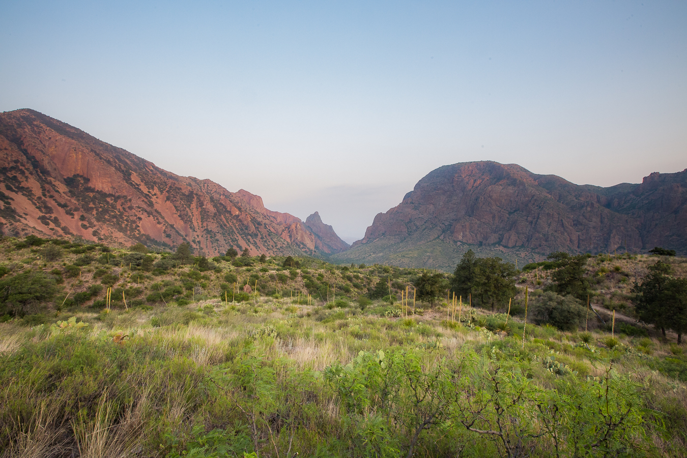Read more about the article Things to do on a Family Trip to Big Bend with a Toddler