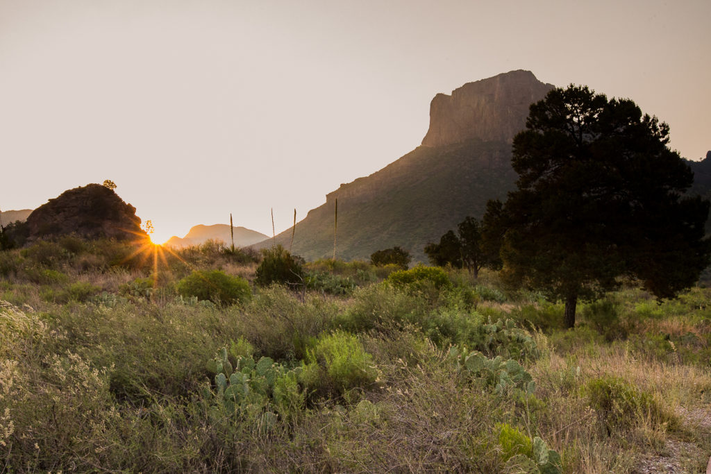 Things to do one a Big Bend Family Vacation with a Toddler in Spring Summer - May 2019