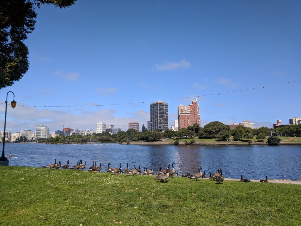 Visiting Oakland, CA California with a Toddler - Tilden Farm, Fairyland, Lake Merritt, San Francisco Ferry