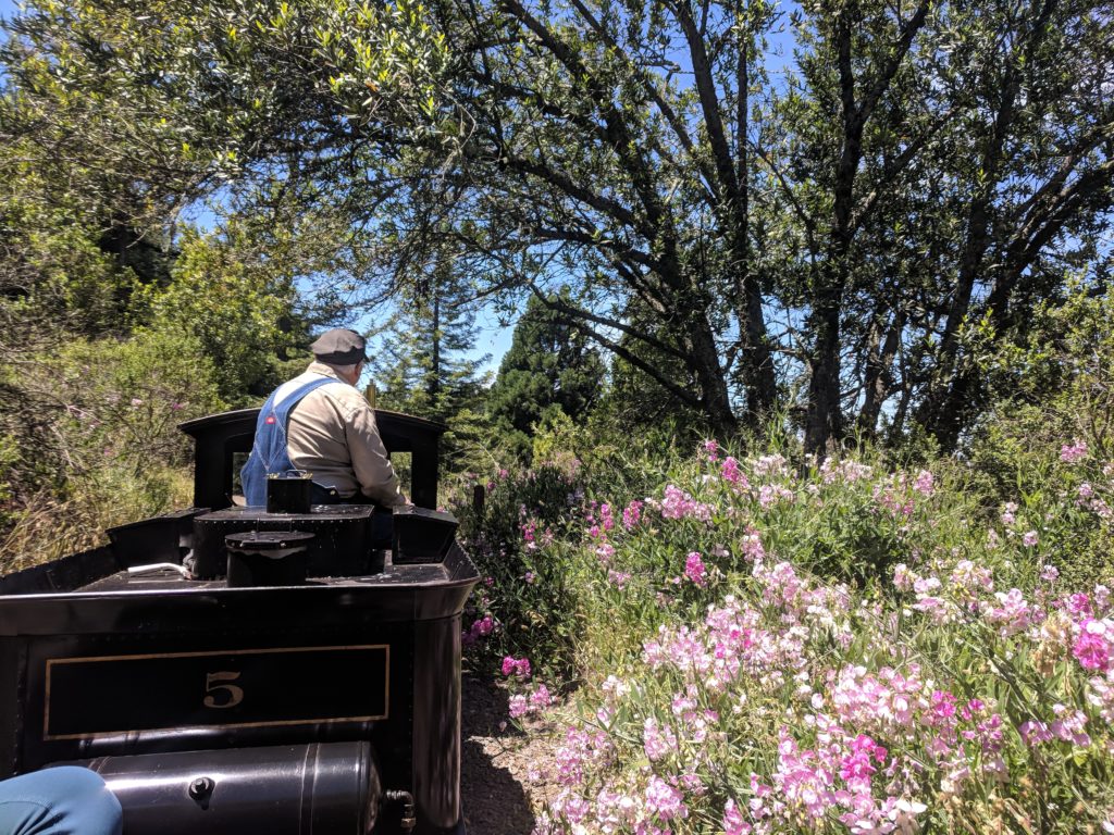Visiting Oakland, CA California with a Toddler - Tilden Farm, Fairyland, Lake Merritt, San Francisco Ferry