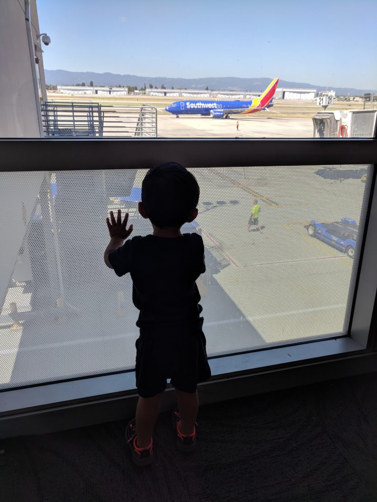 Visiting Oakland, CA California with a Toddler - Tilden Farm, Fairyland, Lake Merritt, San Francisco Ferry