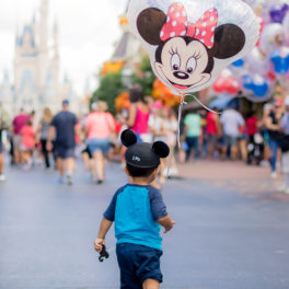 Ordering Grocery Delivery at Disney