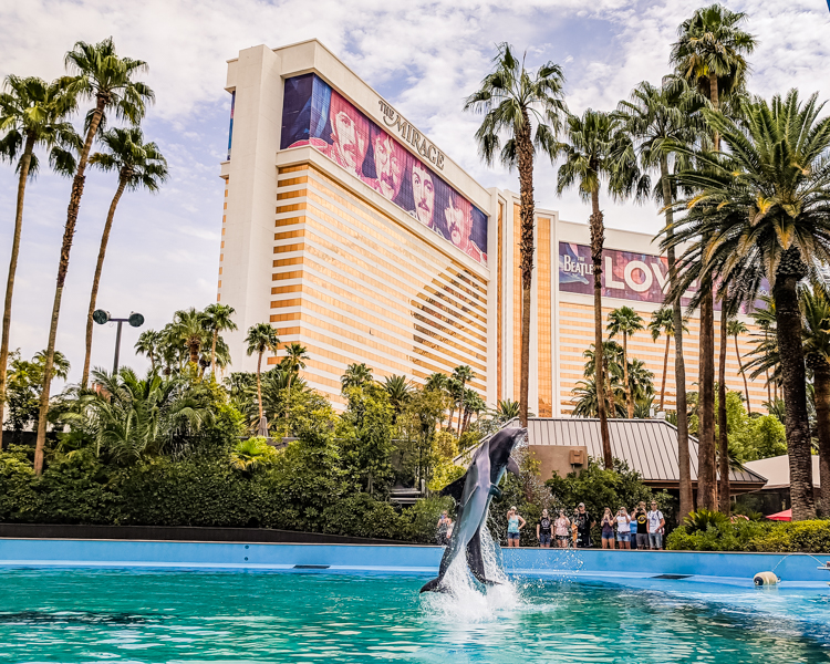 Las Vegas Family Vacation with a Toddler - Things to Do - Our Long Life Blog