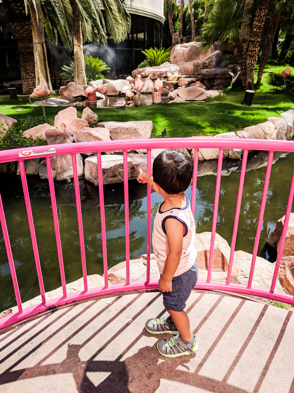 Las Vegas Family Vacation with a Toddler - Things to Do - Our Long Life Blog
