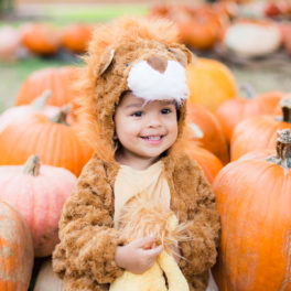 Toddler Pumpkin Patch Photos in Lion Halloween Costume