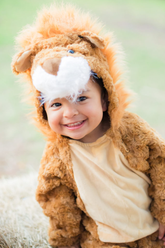 Toddler Boy in Lion Halloween Costume in a Pumpkin Patch