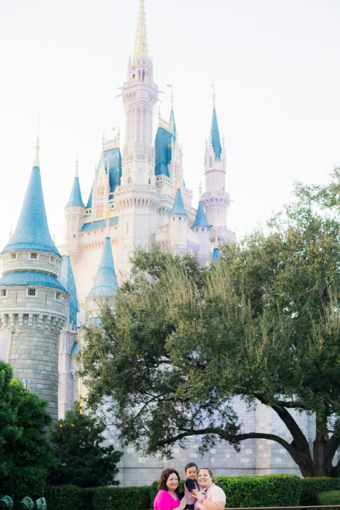 What to do with a 2 Year Old Toddler at Walt Disney World - Our long Life