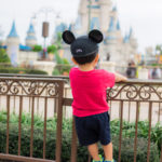 What to do with a 2 Year Old Toddler at Walt Disney World - Our long Life