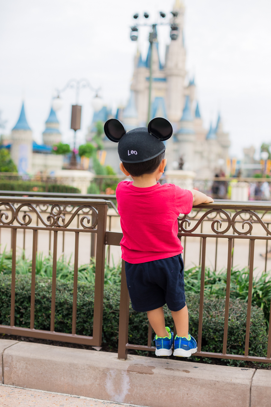 What to do with a 2 Year Old Toddler at Walt Disney World - Our long Life