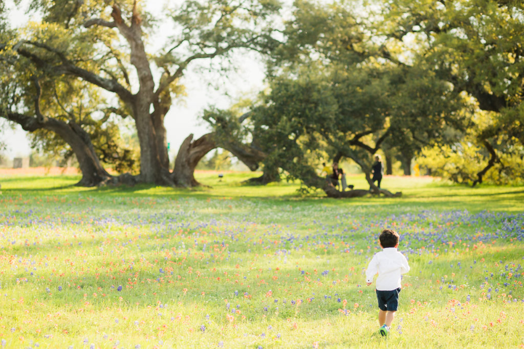 Houston Brenham Bluebonnet Photos | How to take Photos of your Kids in the Bluebonnets