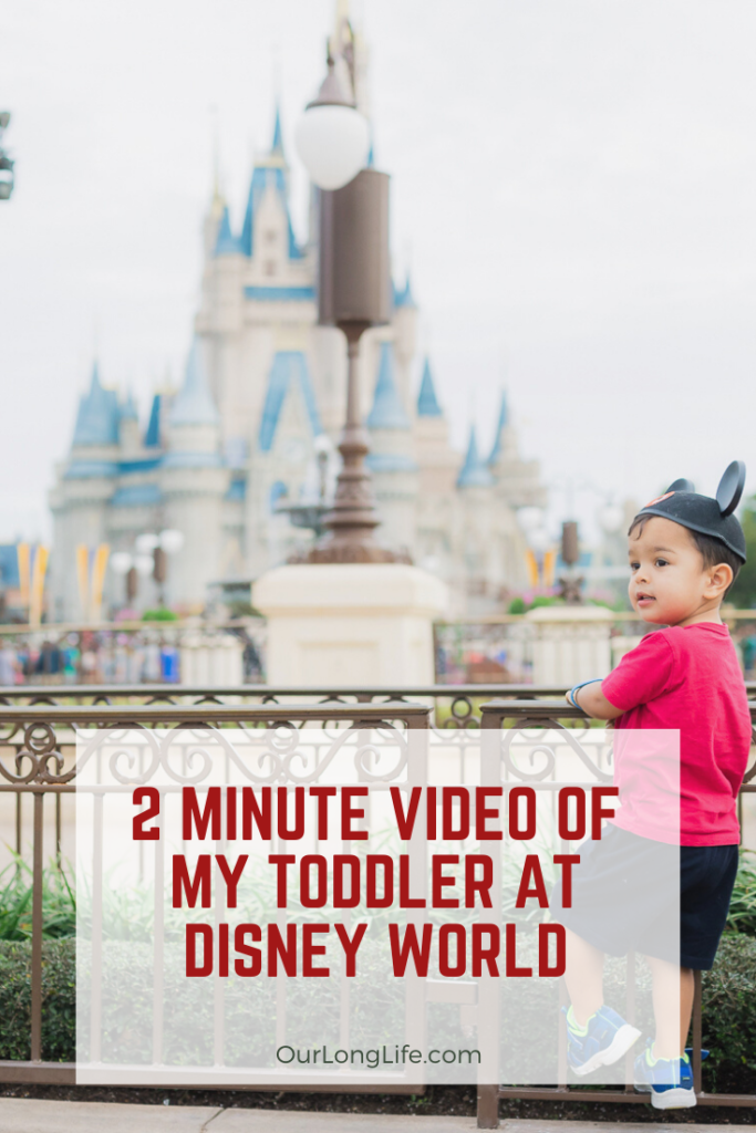 What to do with a 2 Year Old Toddler at Walt Disney World - Our long Life