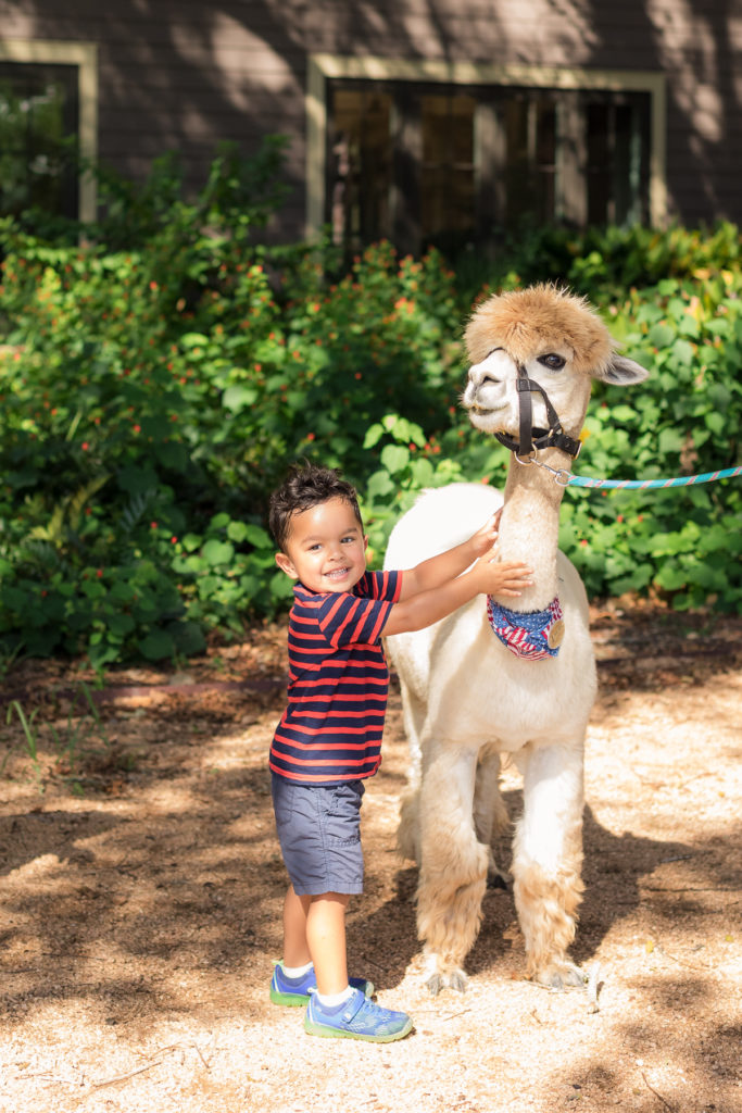 Hyatt Lost Pines Bastrop Hill Country Resort Hotel - Best for a Family Vacation