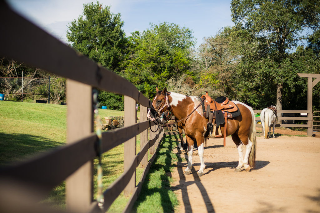 Hyatt Lost Pines Bastrop Hill Country Resort Hotel - Best for a Family Vacation